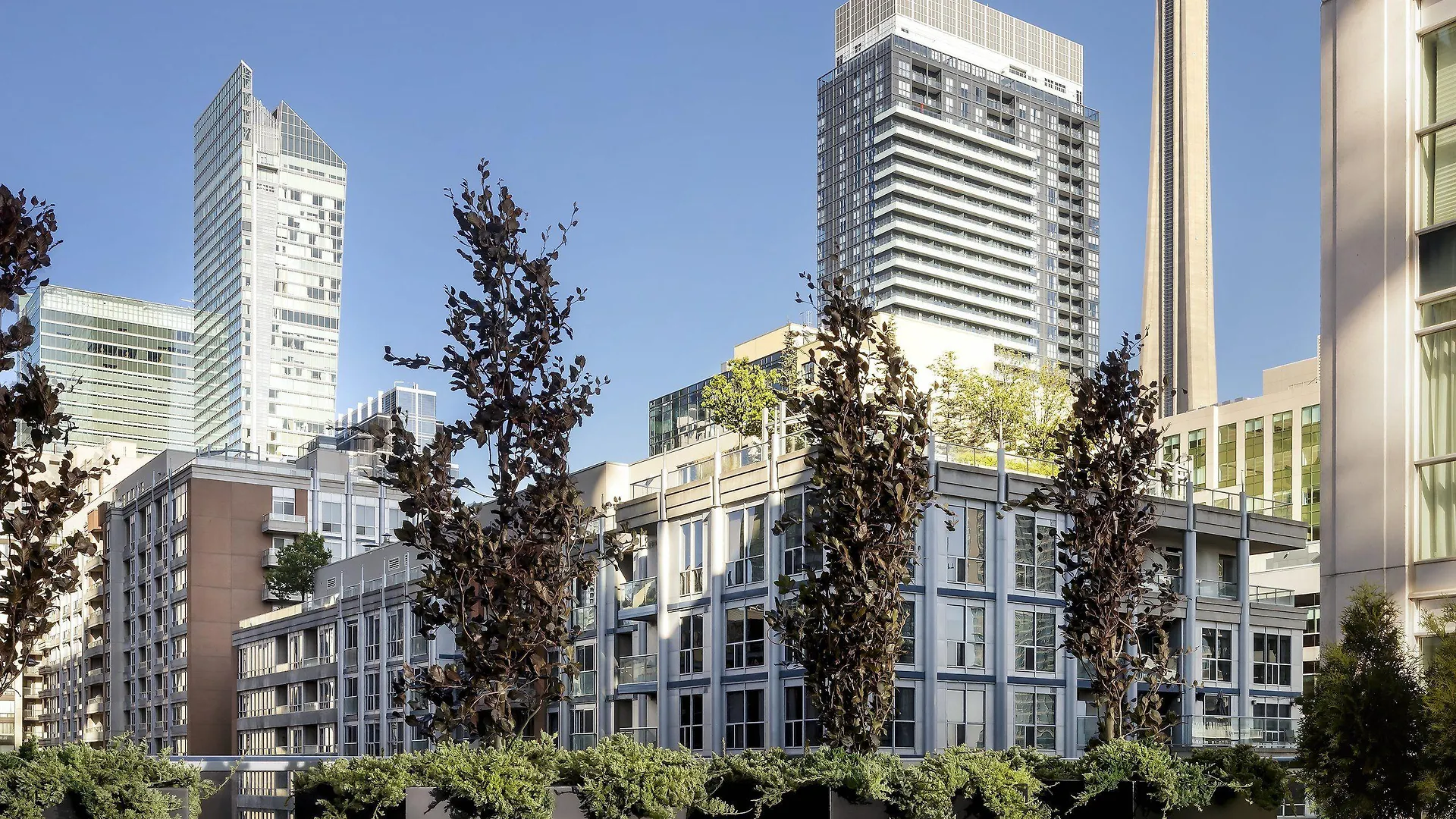 Bisha, A Luxury Collection Hotel, Toronto Canada